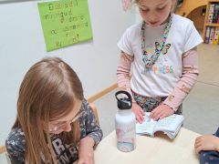 Kindergarten-2