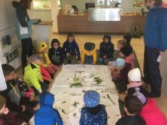 IMG-20220525-WA0018