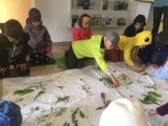IMG-20220525-WA0021