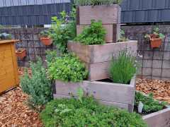 IMG-20240604-WA0000