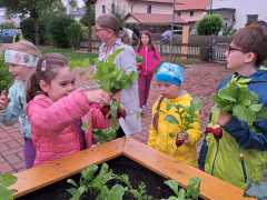 IMG-20240604-WA0004