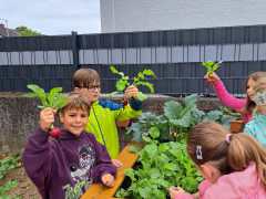 IMG-20240604-WA0007