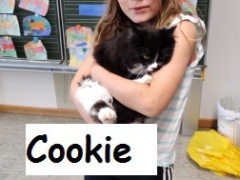 Cookie