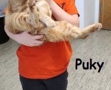 Puky