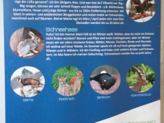 Sporttag_03
