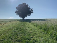 Wandertag-2