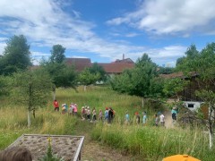 Wiesmuehl_07